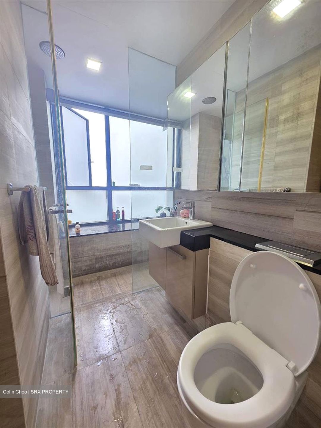 Cityscape @ Farrer Park (D8), Condominium #632044961